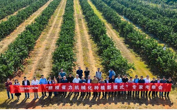 綠萌水果分選設(shè)備可進(jìn)行重量大小分級、顏色、瑕疵外觀視覺分選，無損檢測糖度，甜度，酸度、空心、浮皮、褐變、果肉損傷等內(nèi)部指標(biāo)檢測，提供智能全自動臍橙分選機,臍橙分選設(shè)備,臍橙選果機,臍橙選果設(shè)備,臍橙分級機,臍橙稱重分揀機,臍橙大小直徑選果，臍橙采后分選方案和價格