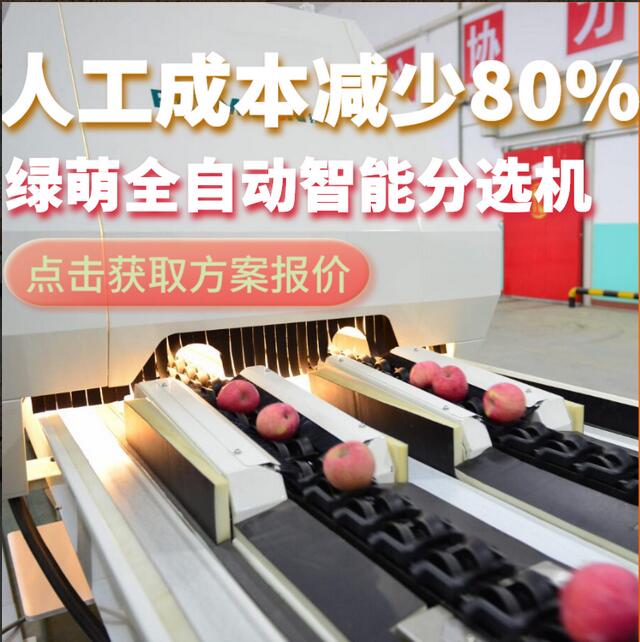 綠萌是水果智能分選設(shè)備國家高新技術(shù)企業(yè),對水果采后處理提供全套解決方案。綠萌水果分選機(jī)可進(jìn)行大小重量分級、外觀顏色分選、內(nèi)部品質(zhì)糖度檢測。提供全自動水果分選設(shè)備,水果選果機(jī),智能水果分選機(jī),全自動水果分選機(jī),水果分級機(jī),小型水果分選機(jī)，水果分級機(jī),水果稱重分選機(jī),水果重量分選機(jī),水果大小分選機(jī),水果顏色分選機(jī),水果糖度分選機(jī),配套水果清洗機(jī)、水果洗果保鮮機(jī)、水果包裝機(jī)、水果消毒滅菌殺菌機(jī),水果打蠟機(jī)。更多水果分選方案報價,小型水果選果設(shè)備價格、水果分級機(jī)怎么樣、口碑好質(zhì)量好的水果選果機(jī)、了解高性能水果分選機(jī)多少錢,咨詢客服免費獲取