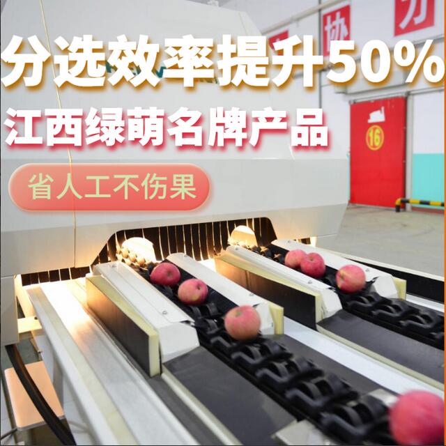 綠萌是水果智能分選設(shè)備國家高新技術(shù)企業(yè),對水果采后處理提供全套解決方案。綠萌水果分選機(jī)可進(jìn)行大小重量分級、外觀顏色分選、內(nèi)部品質(zhì)糖度檢測。提供全自動水果分選設(shè)備,水果選果機(jī),智能水果分選機(jī),全自動水果分選機(jī),水果分級機(jī),小型水果分選機(jī)，水果分級機(jī),水果稱重分選機(jī),水果重量分選機(jī),水果大小分選機(jī),水果顏色分選機(jī),水果糖度分選機(jī),配套水果清洗機(jī)、水果洗果保鮮機(jī)、水果包裝機(jī)、水果消毒滅菌殺菌機(jī),水果打蠟機(jī)。更多水果分選方案報價,小型水果選果設(shè)備價格、水果分級機(jī)怎么樣、口碑好質(zhì)量好的水果選果機(jī)、了解高性能水果分選機(jī)多少錢,咨詢客服免費獲取