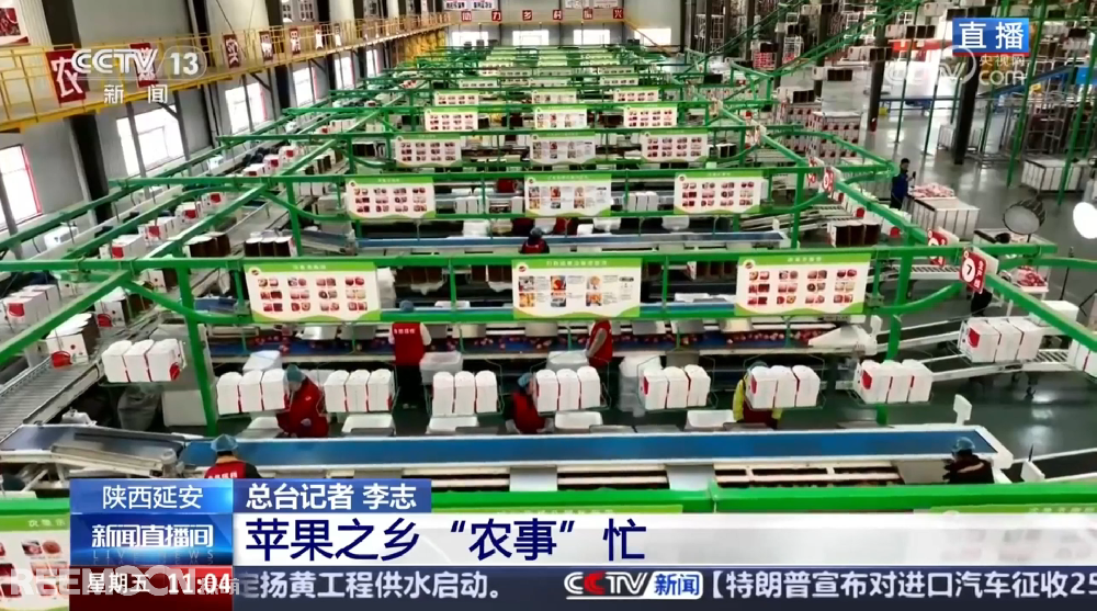 春天是希望的季節(jié)陜西延安是我國(guó)蘋果的優(yōu)生區(qū)和主產(chǎn)區(qū)蘋果之鄉(xiāng)正呈現(xiàn)出一片繁忙的景象3月28日，CCTV13新聞?lì)l道聚焦陜西延安蘋果產(chǎn)業(yè)發(fā)展展現(xiàn)中國(guó)農(nóng)業(yè)現(xiàn)代化與鄉(xiāng)村振興的生動(dòng)實(shí)踐PART.01智能分選線：給蘋果做“體檢”，助力果農(nóng)增收致富延安甘泉縣分揀車間內(nèi)綠萌智能分選設(shè)備高效運(yùn)轉(zhuǎn)通過(guò)人工智能和圖像處理技術(shù)對(duì)傳送帶上的
